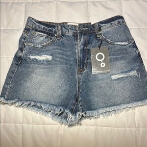 Mid Rise Ripped Frayed Hem Denim Shorts